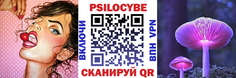 Псилоцибиновые грибы Cubensis  Купить закладки  Омутнинск 
